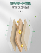 <b>打制ENF级生态板、豆康板等明星产</b>